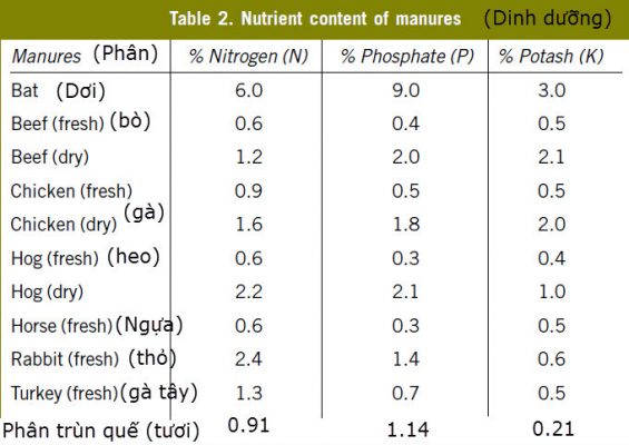 Bảng so sánh thành phần dinh dưỡng của phân dơi và các loại phân khác (Nguồn: Internet).