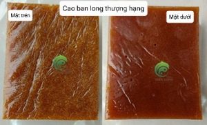 Dưỡng sinh mùa đông rất cần có cao ban long