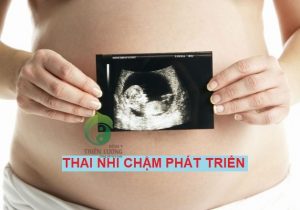 thai-cham phat-trien-thien-luong
